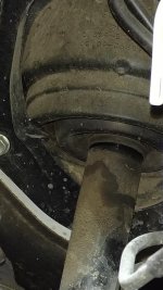 IMG_20181024_164912623.jpg