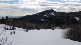 20190331_160807.jpg