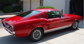 Mustang.jpg