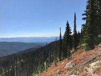 IMG_1140.jpg