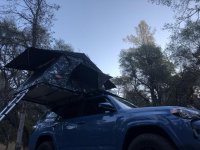 Plumas1.jpg
