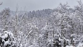 20190121_151619e.jpg