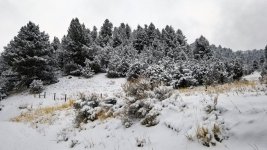 20190121_153625e.jpg