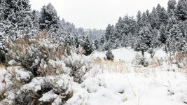 IMG_3375e.jpg