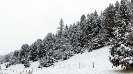 IMG_3366e.jpg