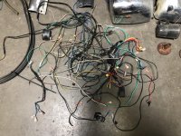 92E3CCA4-8116-4C41-8AE6-E1E3E8CF7D35.jpg