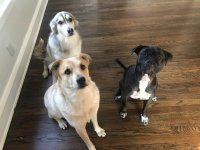 pack2.jpg