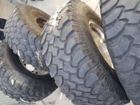 20181115_123847.jpg