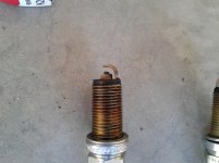 plug DENSO.jpg