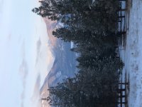 7768BB6F-871F-4A3F-BDE1-E4601A76B3DE.jpeg