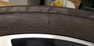 20181117_181450.jpg