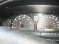 IMG_3977.jpg