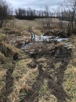 IMG_0331.jpg