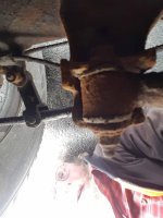panhard driver.jpg