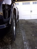 Calgary-20101228-00122.jpg