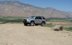 IMG_2029.1_1_1_1.jpg