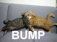 Bump.jpg Bump.jpg