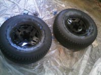 IMG00374-20110301-1311.jpg