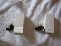 new bulbs.jpg
