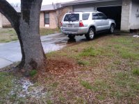 2010-02-23 12.26.28.jpg