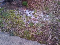 2010-02-23 12.26.18.jpg