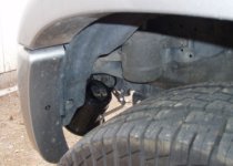 horn2.jpg