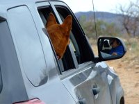 MariaMirror4Runner.JPG