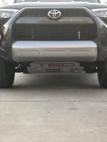 IMG_0803.jpg