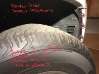 LimeLED fender screws.jpg
