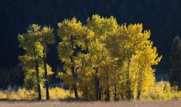 IMG_1648e.jpg