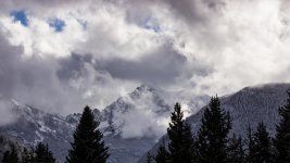 IMG_0001e.jpg