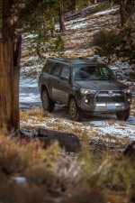 _DSC3990.jpg