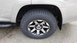 20190421_105219.jpg