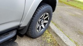 20190421_105307.jpg