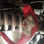 20190507_104956.jpg