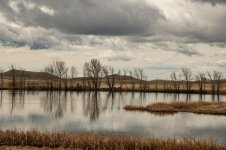 Wyoming-0411.jpg