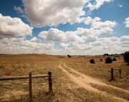 NebraskaNatForest-1014.jpg