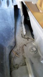 20170113_112138_zpssq8ndpvv.jpg