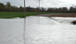 River4.jpg