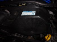 DSC01128.jpg