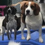 Finn and Leo at Daycare.jpg