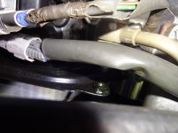 DSC01140.jpg