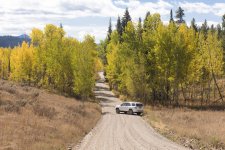 4Runner-fall-gravel-road_4332-no-watermark.jpg