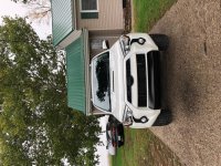 IMG_3155.jpg
