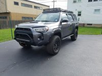 Rsg1.jpg