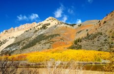 thumbnail (39).jpg