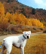 thumbnail (38).jpg