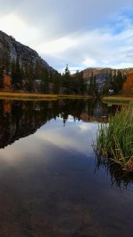thumbnail (21).jpg