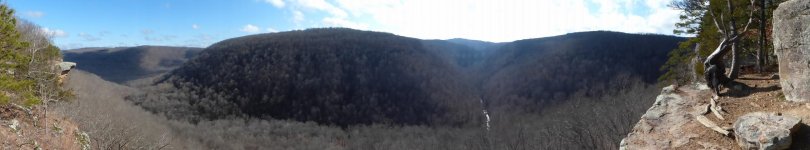 P1080877.jpg