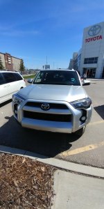 2014 T4R.jpg